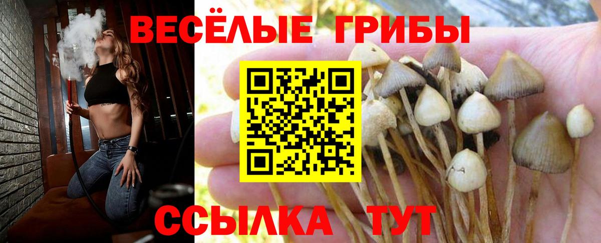 Галлюциногенные грибы Magic Shrooms Зеленодольск